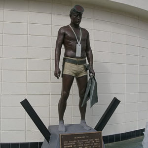 Happy Veterans Day - Hug a Naked Warrior :) | Mark 