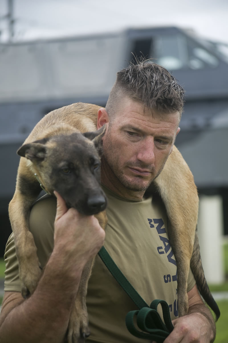 Raven Navy SEAL Museum Multipurpose Canine National Navy UDTSEAL Museum