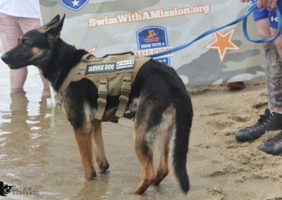Swim With A Mission 2025