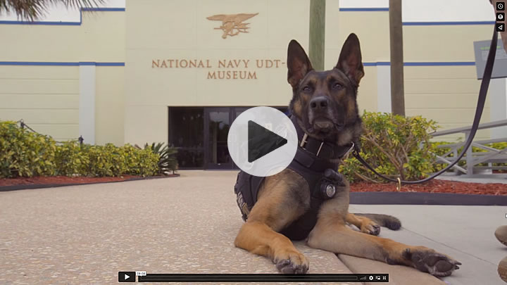 Navy SEAL Museum’s K-9 Project