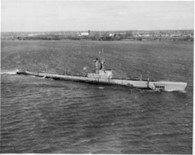USS Burrfish (SS-312)