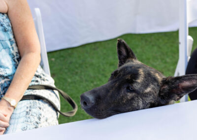 Palm Beach Evening of Tribute 2026