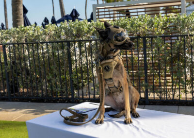 Palm Beach Evening of Tribute 2026