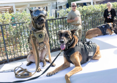 Palm Beach Evening of Tribute 2026