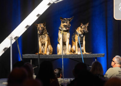 Palm Beach Evening of Tribute 2026