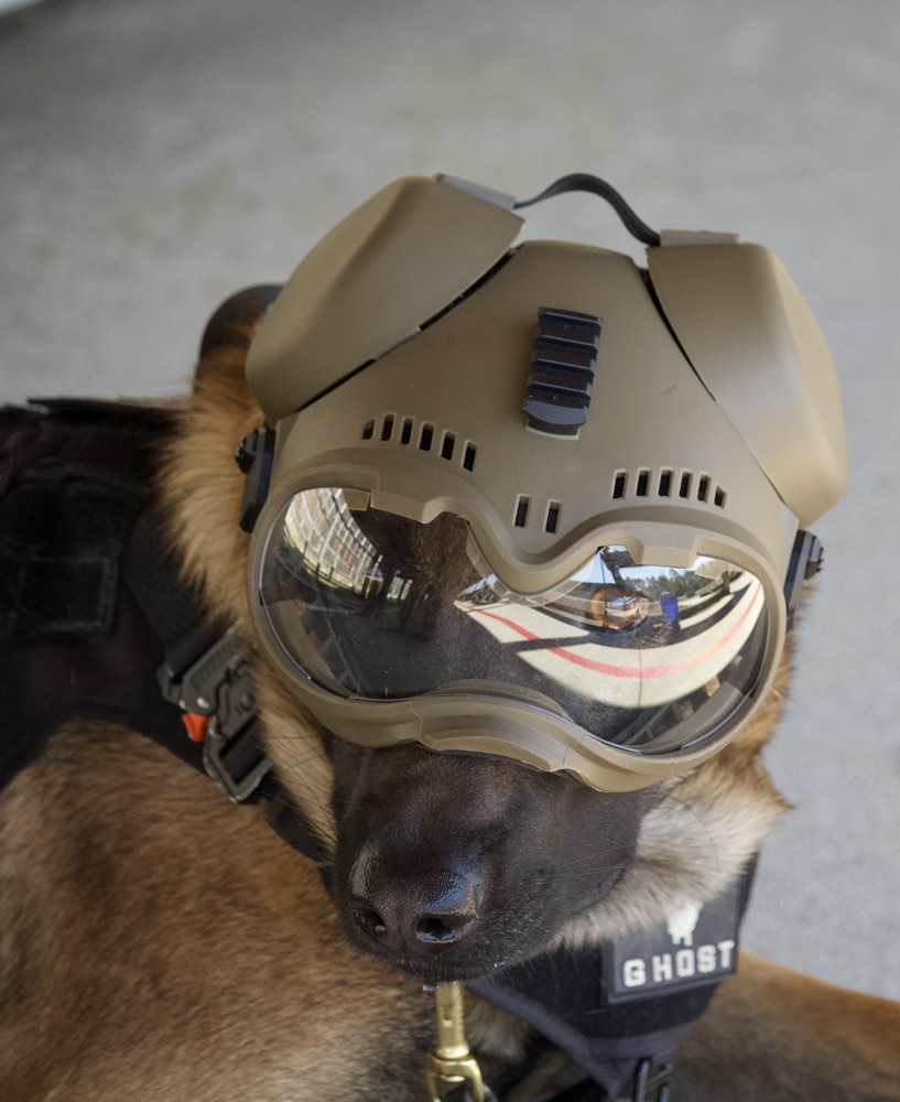 The First Annual Combat Team Competition