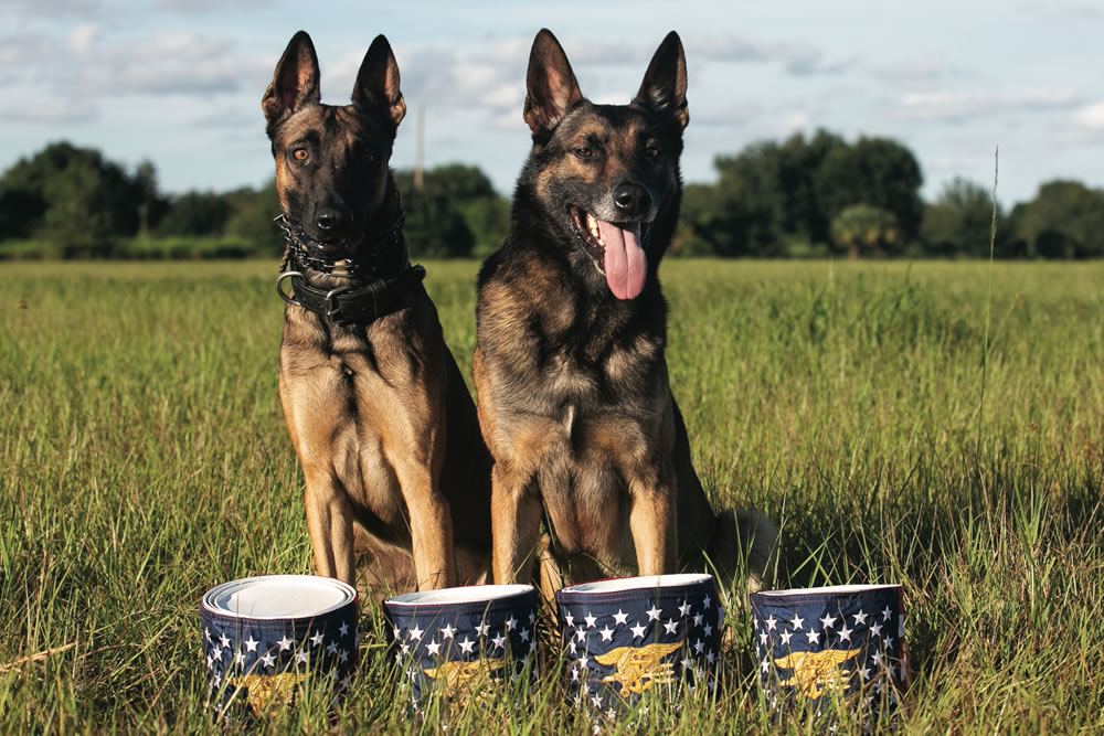 Dogs of the K9 Project