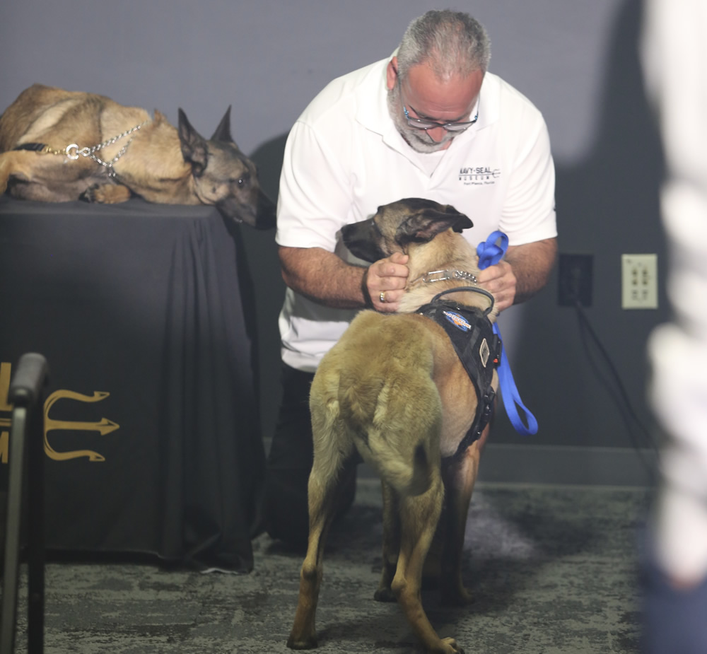K9 Handoff K9 Handoff
