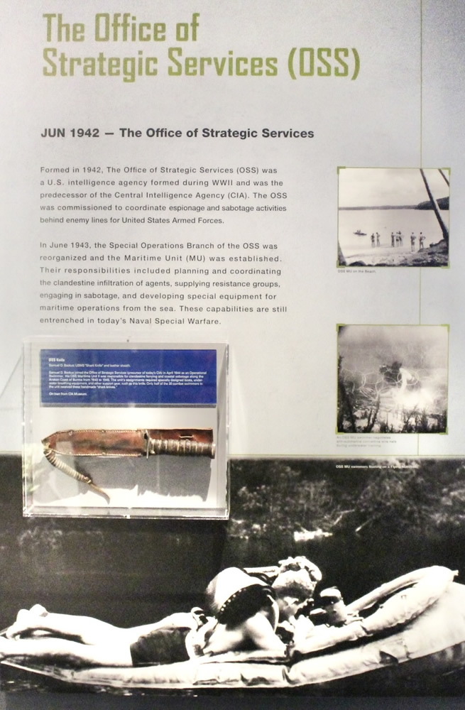 The Office of Strategic Services (OSS) The Office of Strategic Services (OSS)